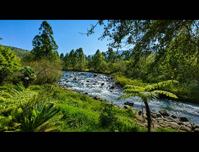 37HA FARM FOR SALE IN NELSPRUIT RURAL